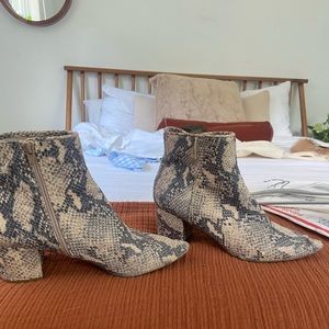 Steve Madden snake skin bootie